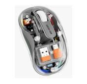 Green Lion Turtle Wireless Mouse  - Gray