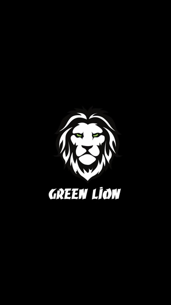 Green Lion 35 in1 Electric Screwdriver Set in UAE | 2500mAh Battery Capacity - Black | (GN35IN1ELSDGBK)